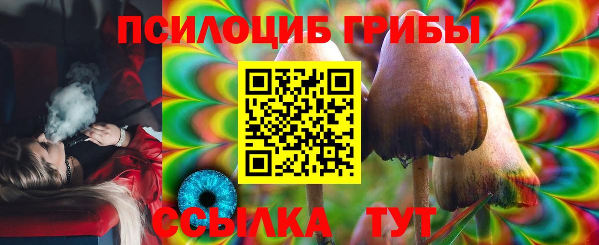 Галлюциногенные грибы Psilocybine cubensis  Вход с VPN  Псилоцибиновые грибы Psilocybine cubensis  Спасск-Дальний 